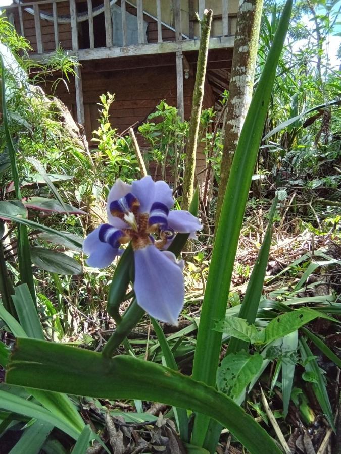 Hostal Azul del lago Agua Azul Kültér fotó